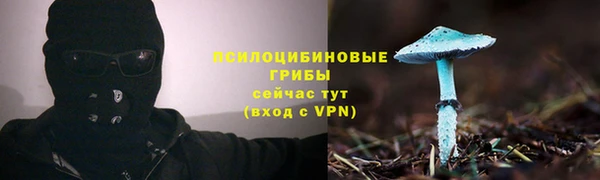ешки Каменка