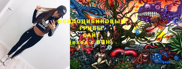 бутират Каменск-Шахтинский