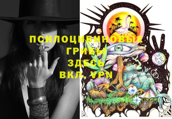 ешки Каменка