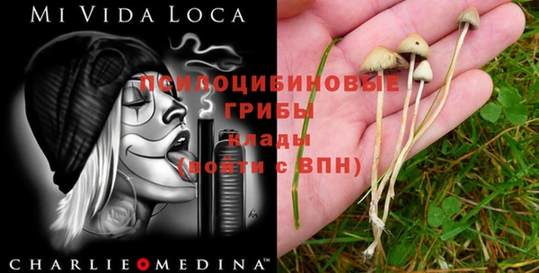 мяу мяу кристалл Каменногорск
