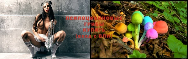 ешки Каменка