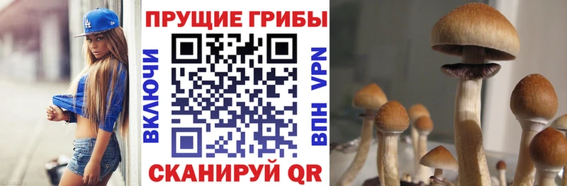Галлюциногенные грибы Cubensis Зуевка