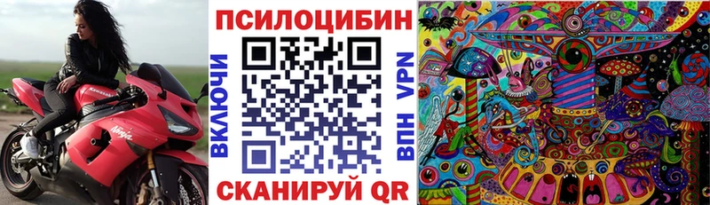 Галлюциногенные грибы MAGIC MUSHROOMS  Купить закладки  Зуевка 