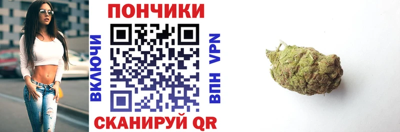 Бошки Шишки планчик  Купить закладки  Зуевка 